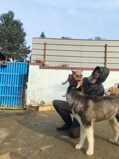It's time for some heavy petting, and everyone wants in, from the tiny Chihuahua to the big Husky.