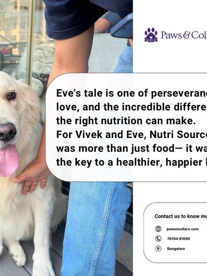 PawsnCollars - Veterinary Care Nutrition for a Vibrant Life photo 7