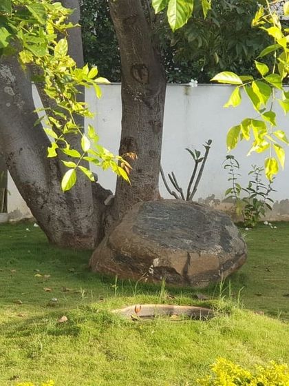 Art Yard - Residential Landscape Design & Execution Signature Details & Custom Creations photo 8