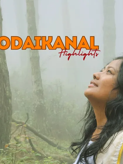 A traveler lost in the misty beauty of Kodaikanal's pine forests. It's a perfect place to find peace and tranquility.