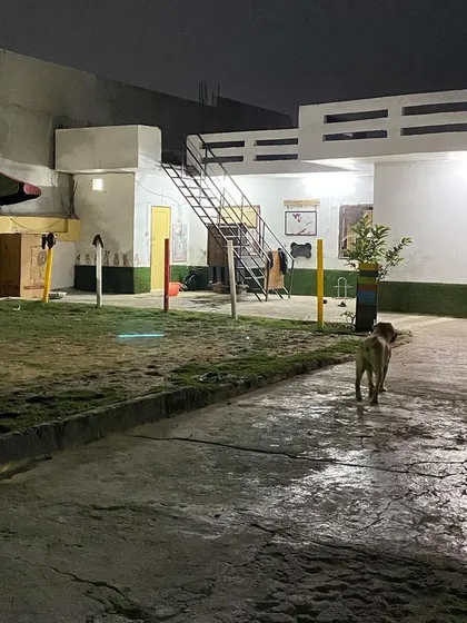 Your pet's favorite place, even after the sun goes down. The area is always clean and ready for the next day's fun.