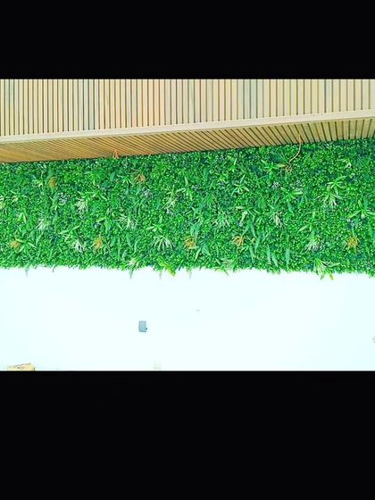 A long green wall installed below a wooden slat ceiling feature. This type of installation is great for hallways, reception areas, or long exterior walls.
