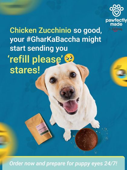 Our Chicken Zucchinio is so good, you'll have to get used to the 'refill please' puppy eyes 24/7. It's a delicious and healthy meal packed with real chicken and fresh vegetables.