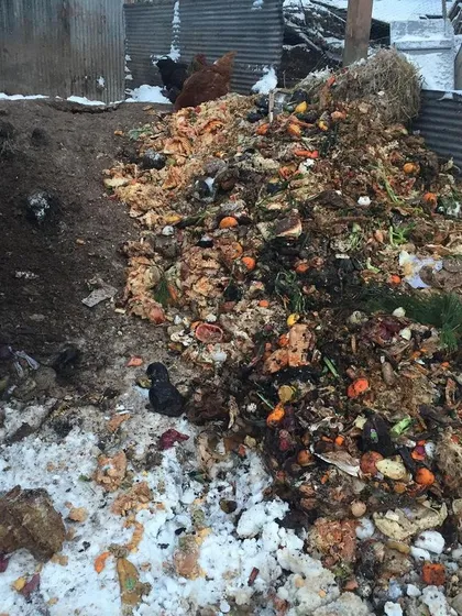 A pile of fresh food scraps in the snow next to our compost bays. Even in winter, the waste keeps coming, and we have to find a place to put it.
