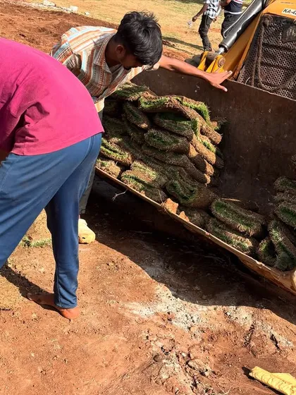 Our team unloading rolls of fresh turf from a JCB for a large-scale project. Creating a lush lawn starts with high-quality materials and hardworking hands.
