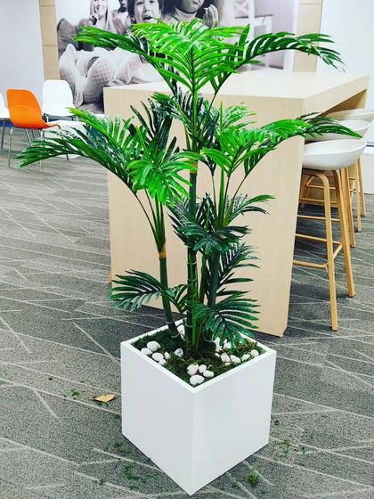 A medium-sized artificial palm plant in a simple white planter. This is a versatile plant that works well in many different office and home settings.