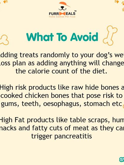 Treats can be a big part of weight gain. This guide provides three tips for responsible treating during a weight loss plan, focusing on safe, low-calorie, and functional treats while avoiding high-risk options like rawhide.