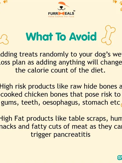 This collection of infographics and product shots provides a comprehensive guide to understanding, preventing, and managing dog obesity with my specialized diet plans and responsible treating tips.
