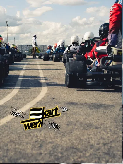 A collage of the starting grid and our drivers.