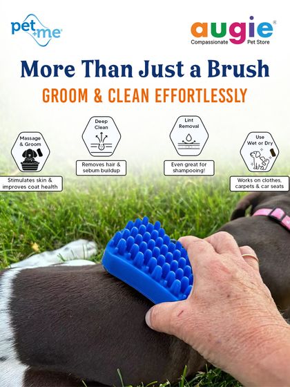 Augie Pets - Pet Supplies Spa Day at Home: Gentle Grooming Essentials photo 45