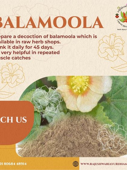 For those experiencing repeated muscle catches, I often recommend a decoction of Balamoola. This herb is very effective at strengthening muscles and calming the Vata dosha responsible for such issues.