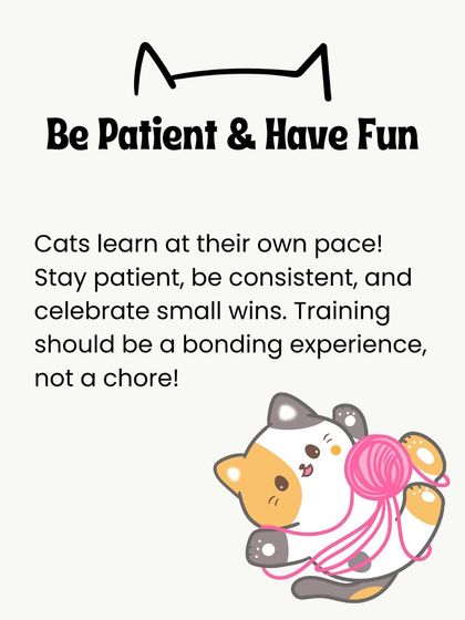 Oh My Dawg - Pet Supplies For New Pet Parents photo 27