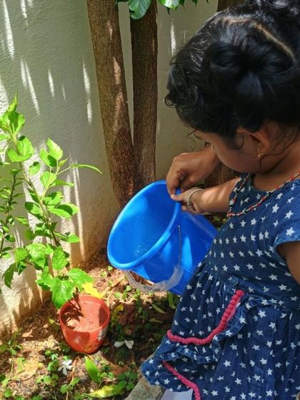 Purple Asters - Preschool & Daycare Making Memories: Special School Days photo 19