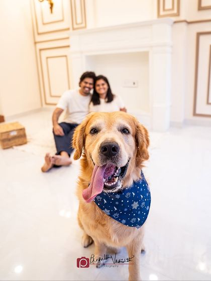 Pragalbh - Fine Art Pet Photography Family & Me photo 4