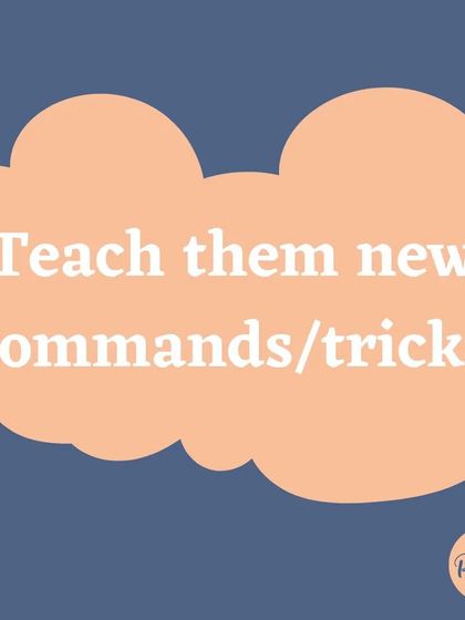 A rainy day is the perfect opportunity to teach your dog a new command or a fun trick. It's a great way to bond and work their brain.