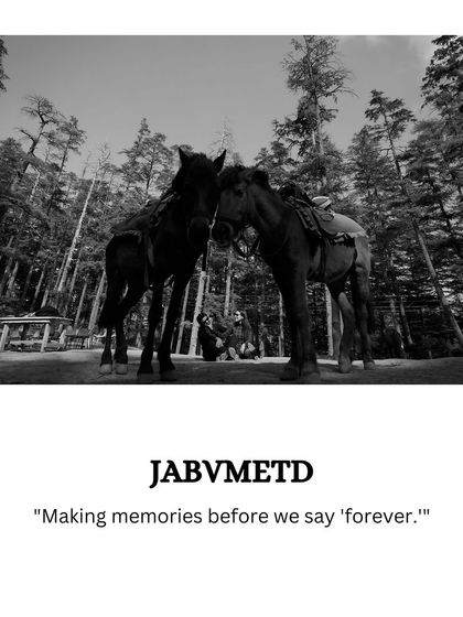 A creative black and white shot of two horses in a forest, symbolizing the couple's journey together, from their pre-wedding session.