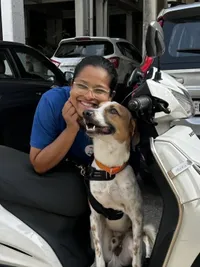 In-Home Pet Sitting