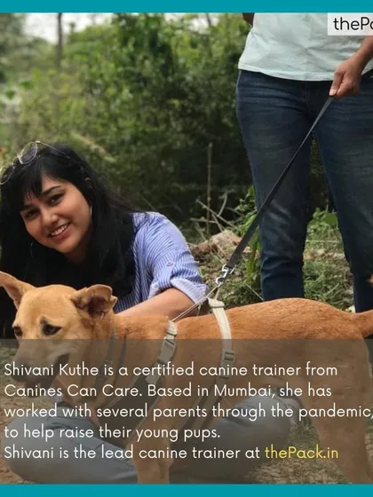 A profile shot of me with a lovely Indie dog. As the lead canine trainer at thePack.in, I have worked with many parents to help them raise their young pups with confidence.