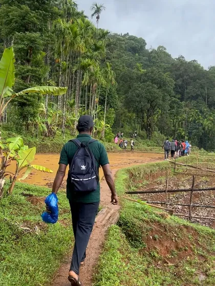 A trekker walks through the vibrant green paddy fields and areca nut plantations at the base of our Netravathi trek.