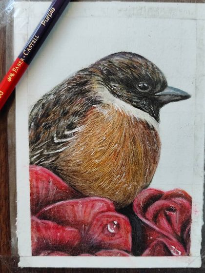 A work-in-progress shot of the bird and roses drawing, showing the bird fully colored and the roses still in outline.