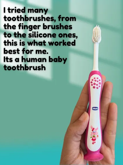 After trying many different types, I found that a simple human baby toothbrush works best for Pantu's mouth.