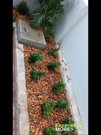 This close-up highlights the details of the pebble and plant installation. The pebbles act as a natural mulch, helping to retain soil moisture and suppress weeds, keeping the garden looking tidy.
