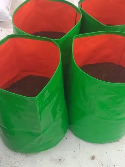 The foundation of a great garden is great soil. I prepare a special mix of cocopeat and other organic materials to fill these grow bags, ensuring your plants get the best possible start.