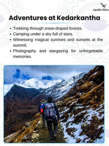 Winter Wonderland Treks photo 10