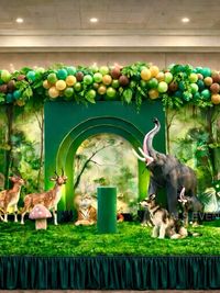 Kids' Birthday Party Decorations & Packages