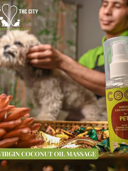 Tails of the City - Pet Supplies Glow-Ups & Spa Days photo 3