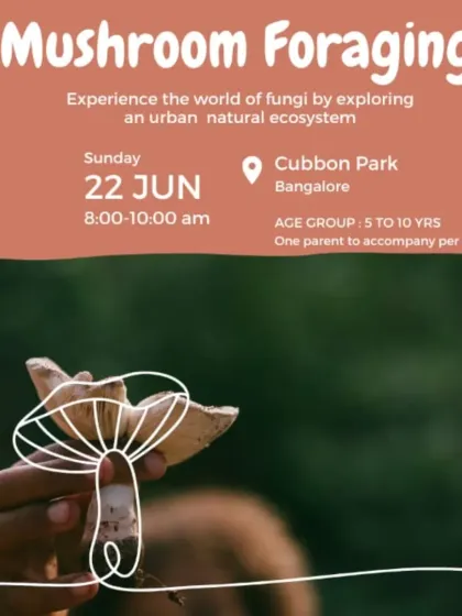 Monsoon is here, and so are the mushrooms! Announcing our foraging walk in Cubbon Park, Bangalore.