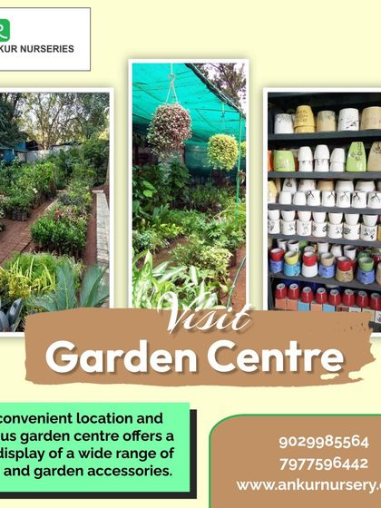 A Visit to Our Garden Centre photo 3