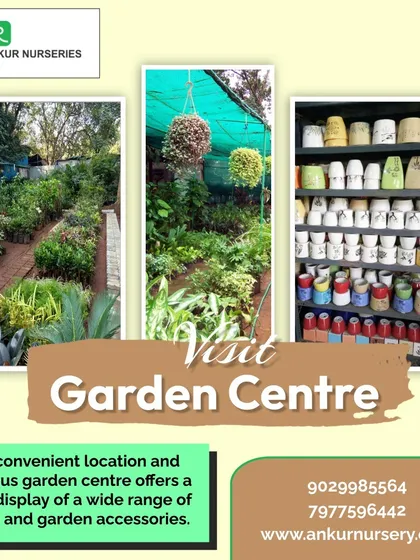 This graphic gives you a glimpse of what to expect when you visit: rows of healthy plants, hanging baskets, and shelves stocked with a variety of colourful planters and garden accessories. I invite you to come and explore.
