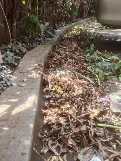 A pile of cleared leaves and garden waste during a maintenance visit. A clean garden is a healthy garden, as it improves air circulation and reduces pests.