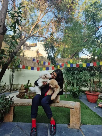 Cuddles with our beautifully groomed clients, Archie and Columbus. Building a trusting and loving bond with the pets we care for is at the heart of what we do.