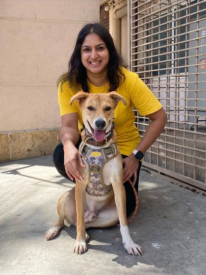 TailSpin - Dog Behavior Modification & Obedience Training Client Success Stories photo 5