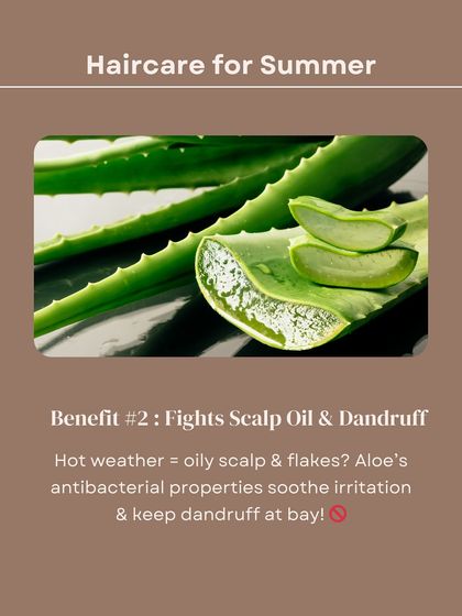 Aloe's antibacterial properties are great for fighting scalp oil and dandruff, which can be common in hot weather. It soothes irritation and keeps flakes at bay.