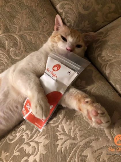 Caught in the act of true love. This kitty's embrace of our treat bag shows just how irresistible our air-dried snacks can be.
