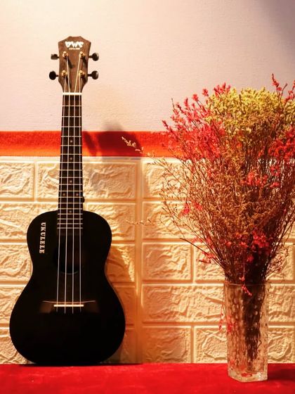 Circle Of Fifths - Instrument & Vocal Lessons Ukulele Club: Fun & Sunshine photo 34