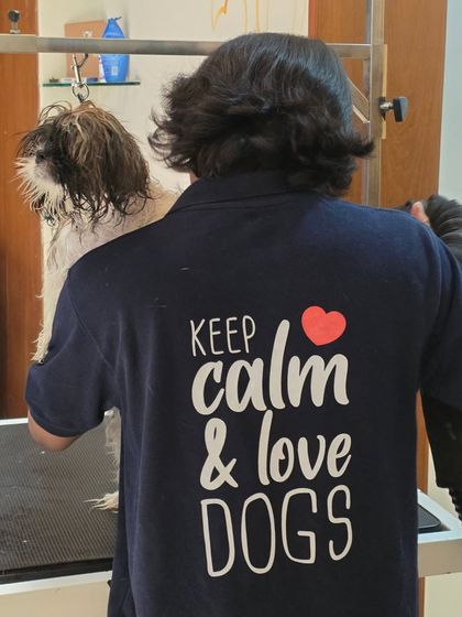This is my mantra: "Keep Calm & Love Dogs." It's on my shirt and it's how I approach every grooming session. Here, my groomer Angam is carefully blow-drying a Shih Tzu, living by our code.