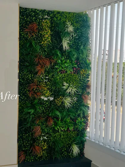 The 'after' shot of the window-side green wall, showing a complete and vibrant installation.