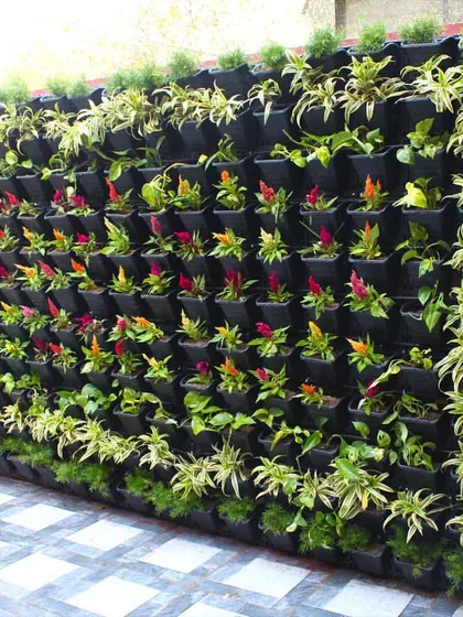 I turned this client's driveway into a place of calm and beauty. This living wall with seasonal flowers greets them every time they come home, adding a touch of nature to an often-overlooked space.