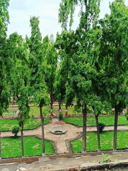 A formal garden area within the Vadodara park, featuring pathways, a central water feature, and tall Polyalthia trees.