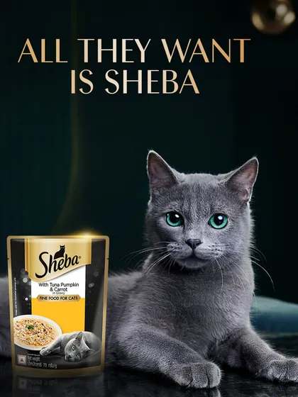 A product-focused shot for Sheba, where the cat's direct gaze and the beautifully lit product create a compelling call to action.