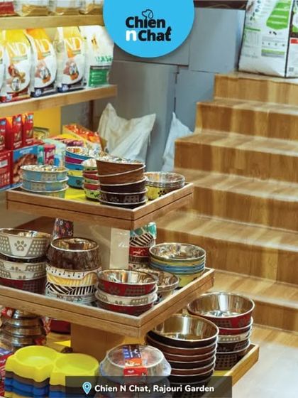 This corner of my store shows the variety I offer. You can see different food bowls, grooming shampoos, and healthy treats all in one place, with my grooming station visible in the background.