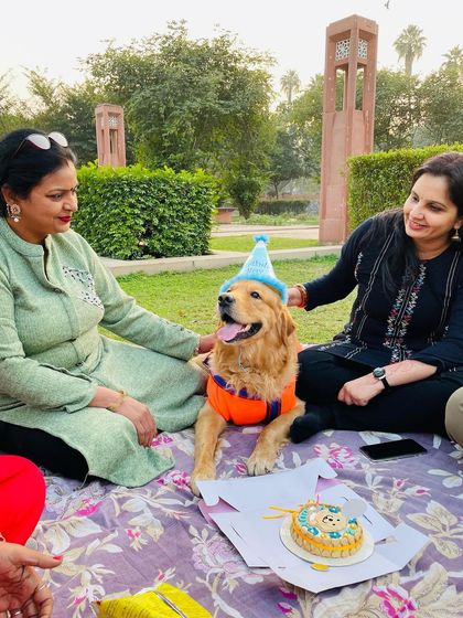 A birthday celebration surrounded by family. Maddy gets all the love and pets during his outdoor party.