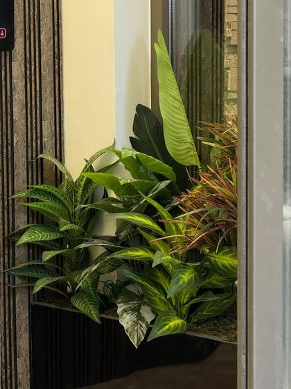 Statement Planters & Green Corners photo 33