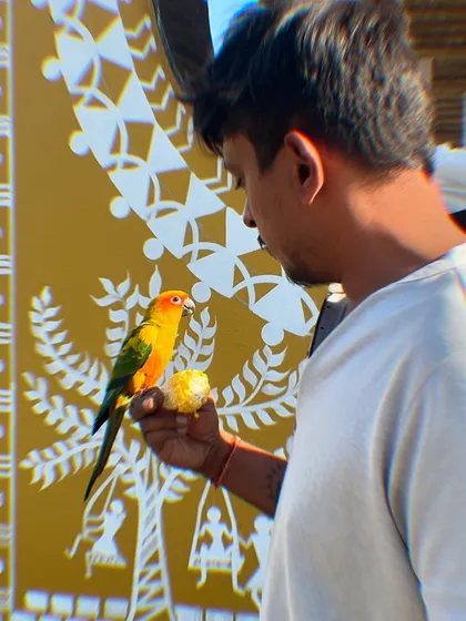 A moment of connection while painting the Warli art mural. This little guy landed on my hand, adding a touch of real nature to my artistic one.