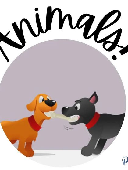 Safely introducing your puppy to other calm, vaccinated adult dogs is important. But it's just one piece of the much larger socialization puzzle.