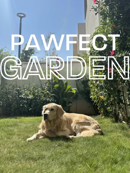 I believe gardens are for every member of the family, including the furry ones. This is a look at one of my "pawfect" garden designs, using pet-safe plants and durable turf to create a beautiful and safe space for dogs to relax and play.
